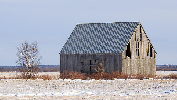 50D_3985
