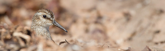 20120904_144007_LESA_1696_web