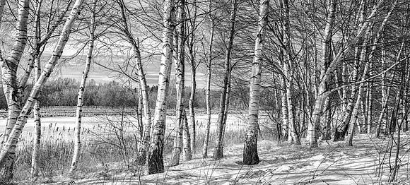 20130113_152402_9398