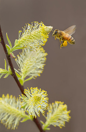 20130509_105410_8618