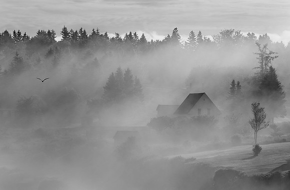 Campobello