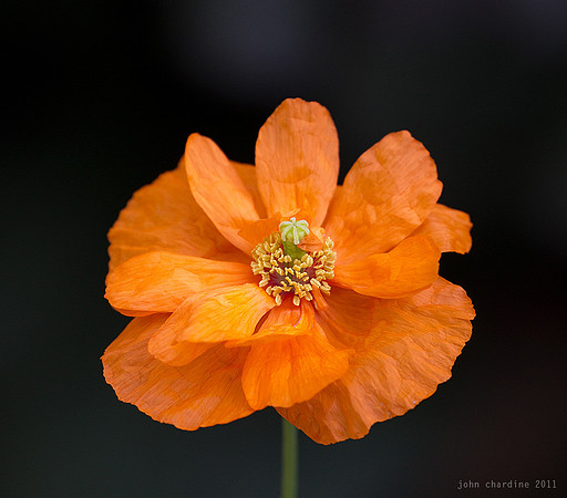 20110628_083807_1549
